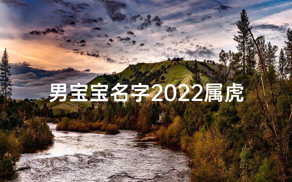 男宝宝名字2022属虎姓杨取名-杨家虎宝宝2022，喜庆吉祥好兆头