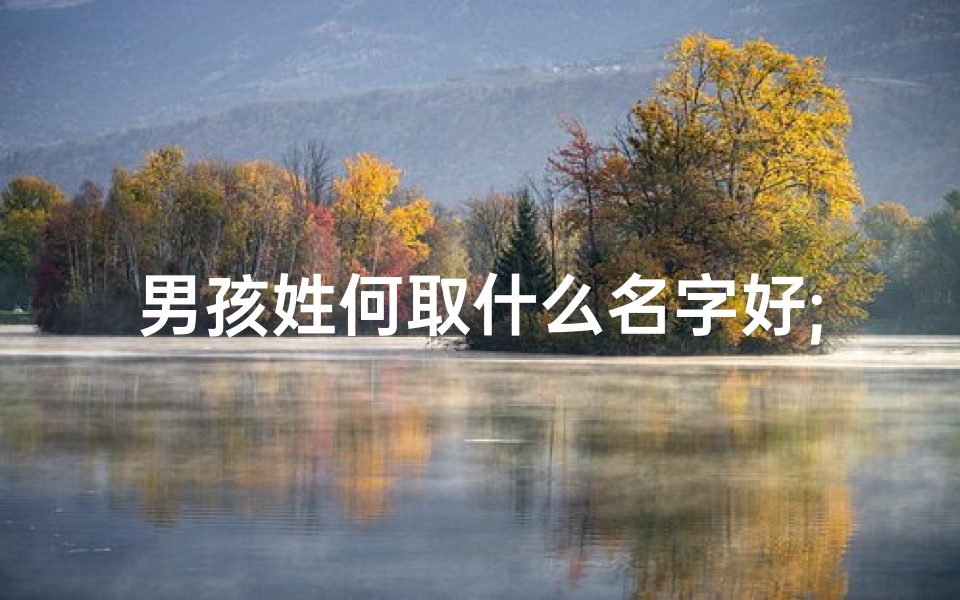 男孩姓何取什么名字好;何姓宝宝起名：何家宝贝，名字里的独特韵味