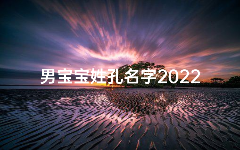 男宝宝姓孔名字2022属虎