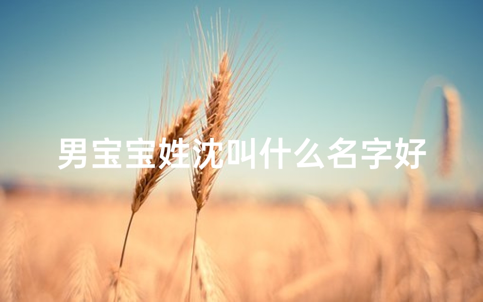 男宝宝姓沈叫什么名字好听-《沈氏宝宝，名字好听，寓意美好》