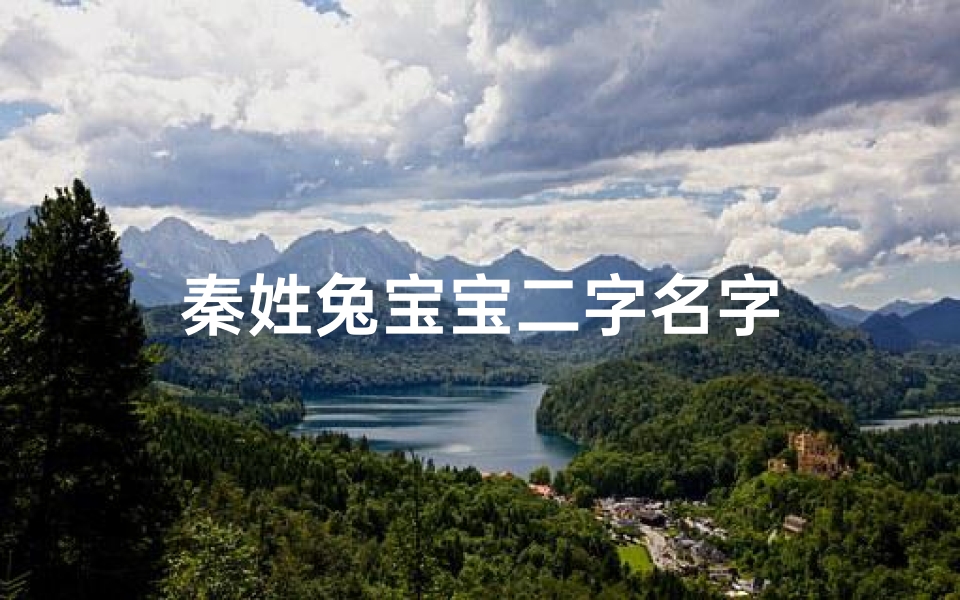 秦姓兔宝宝二字名字