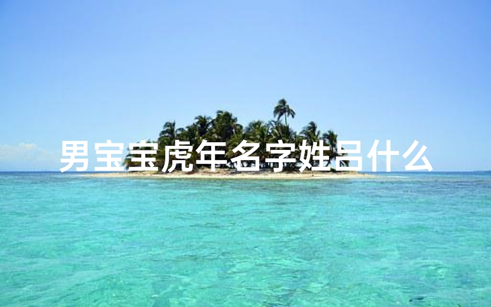 男宝宝虎年名字姓吕什么