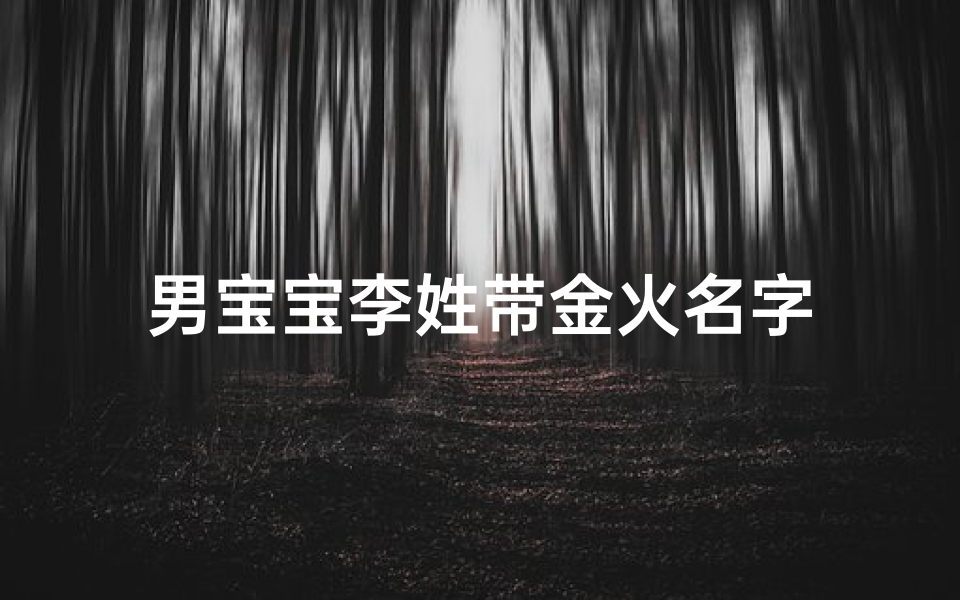 男宝宝李姓带金火名字